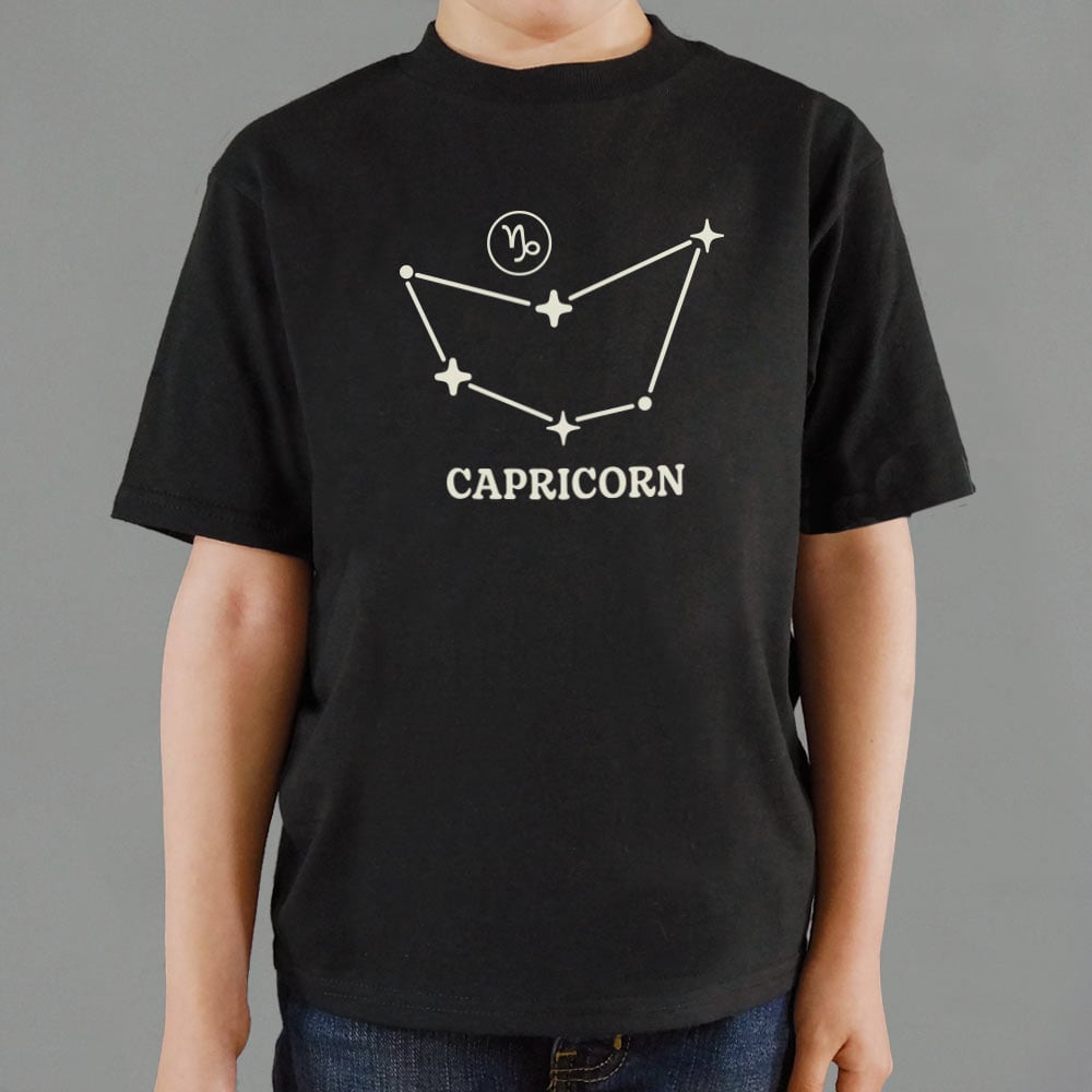 Capricorn Constellation
