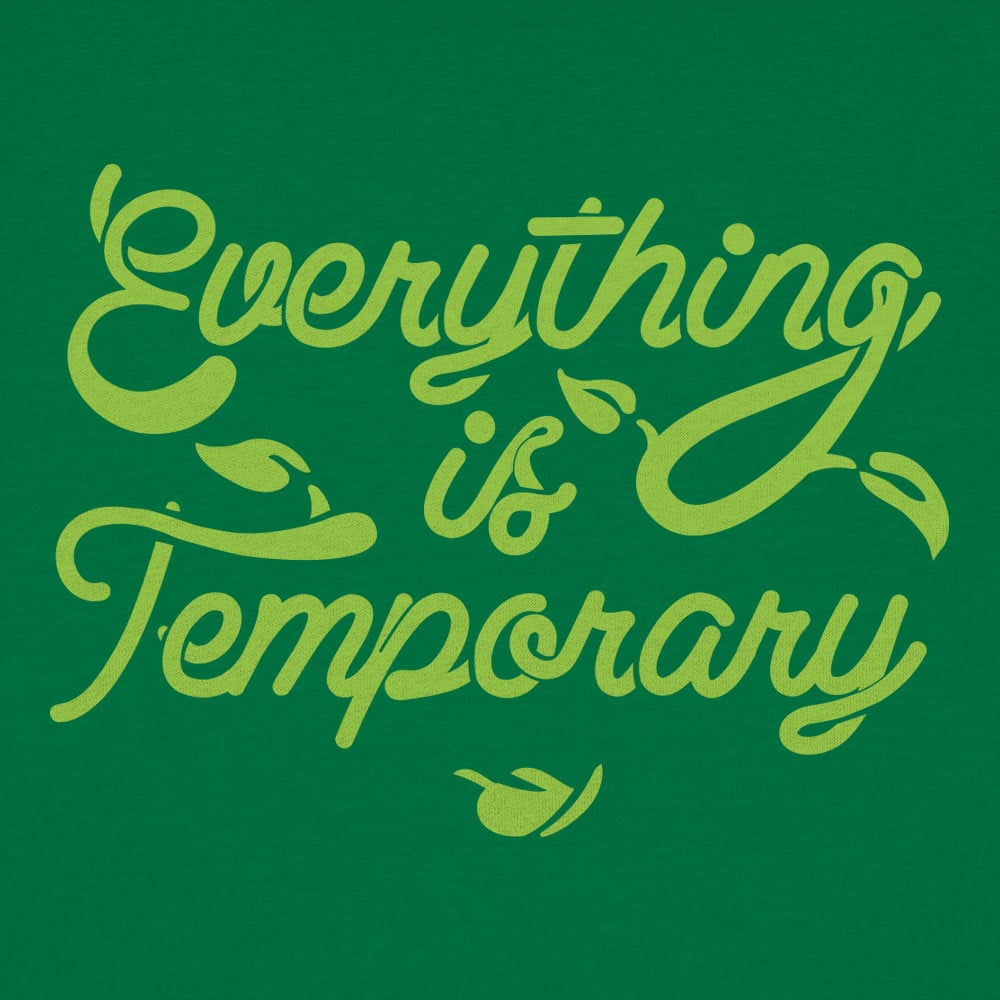 Everything Is Temporary - 6DollarShirts