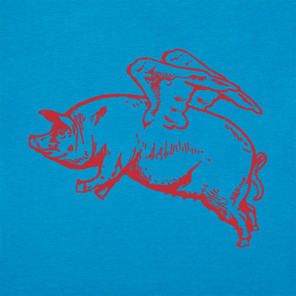 Flying Pig