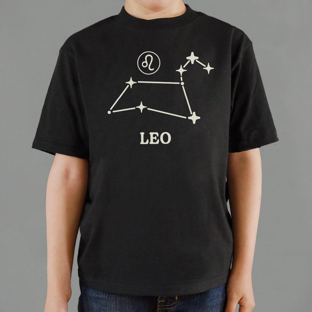 Leo Constellation