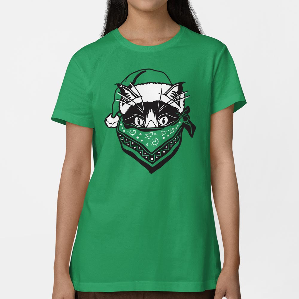 Quarantine Santa Cat