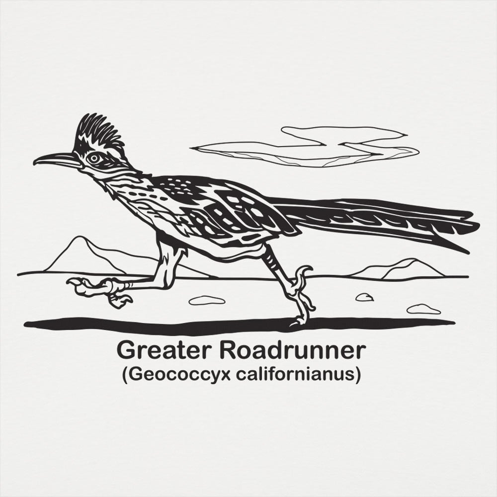 Roadrunner - 6DollarShirts