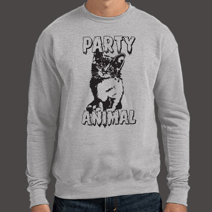 Party Animal Kitten Cat