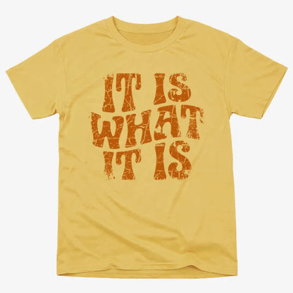 It Is What It Is Retro Graphic
