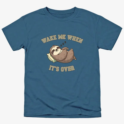 Wake Me When It's Over Sloth Vibe
