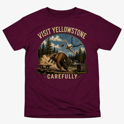 Visit Yellowstone Carefully