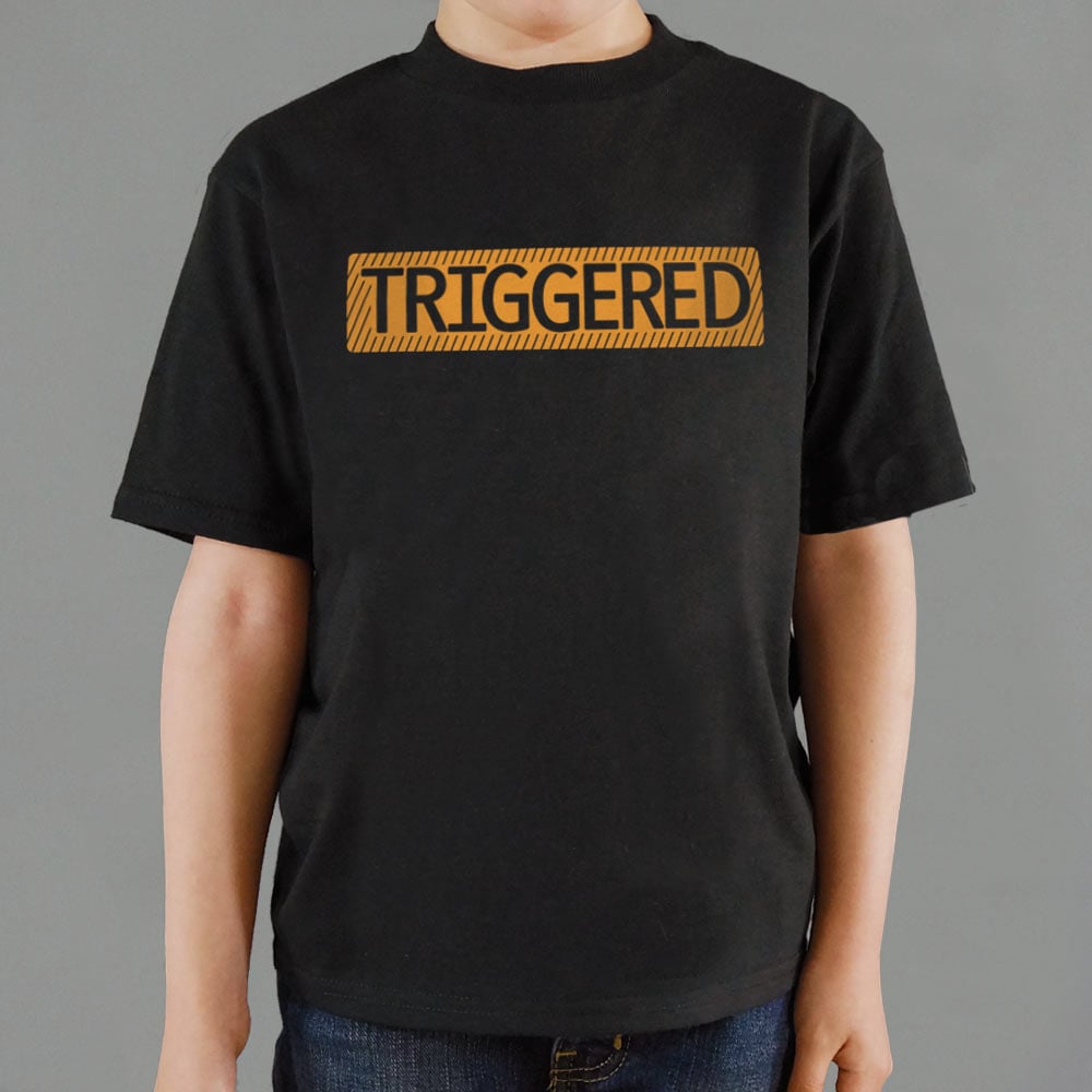 Triggered - 6DollarShirts