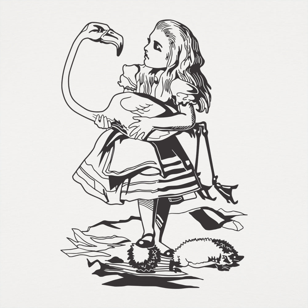 Alice And Flamingo