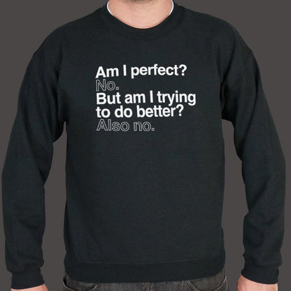 Am I Perfect? No, But Am I Trying to Do Better? Also No