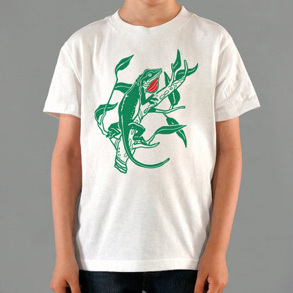 Anole Lizard Illustration
