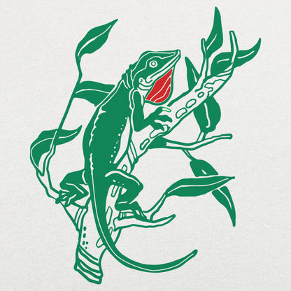 Anole Lizard Illustration