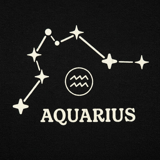 Aquarius Constellation Zodiac Star Sign detail