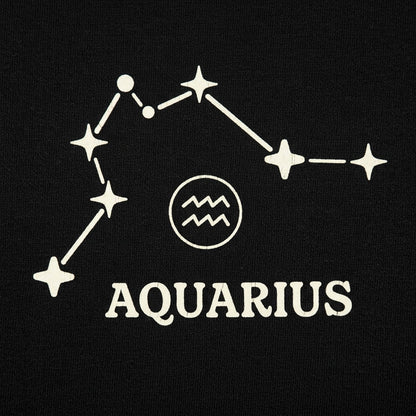 Aquarius Constellation Zodiac Star Sign detail