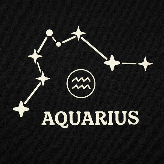 Aquarius Constellation Zodiac Star Sign detail