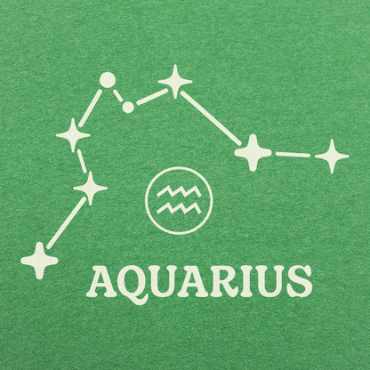 Aquarius Constellation Zodiac Star Sign