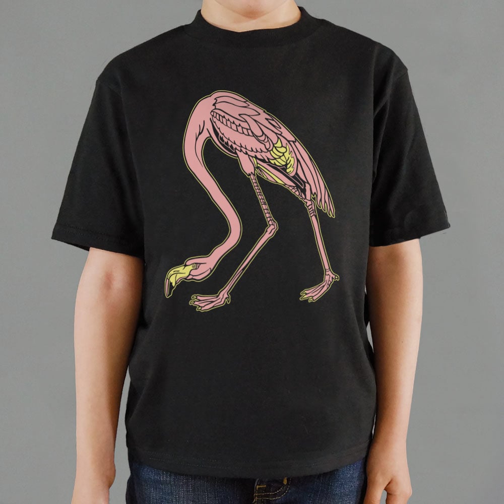 Audubon Flamingo