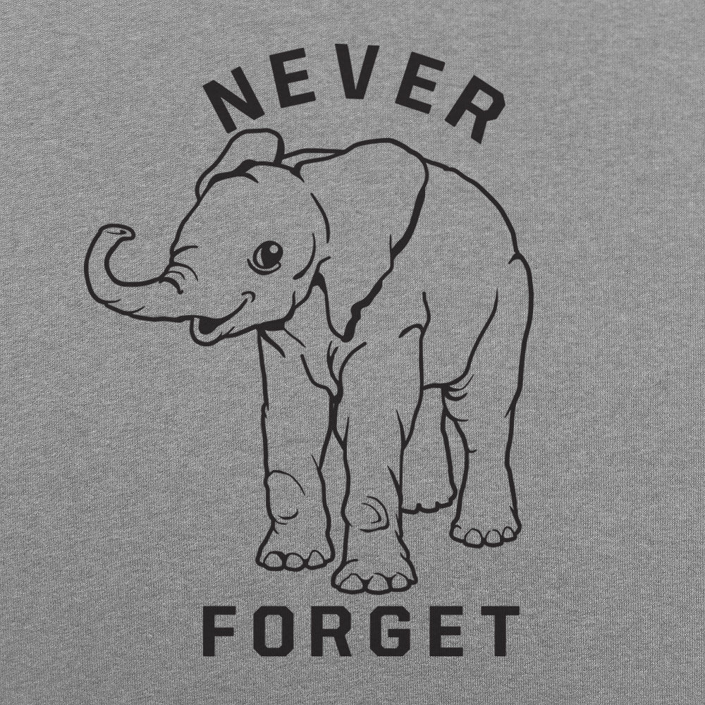 Baby Elephant Never Forget