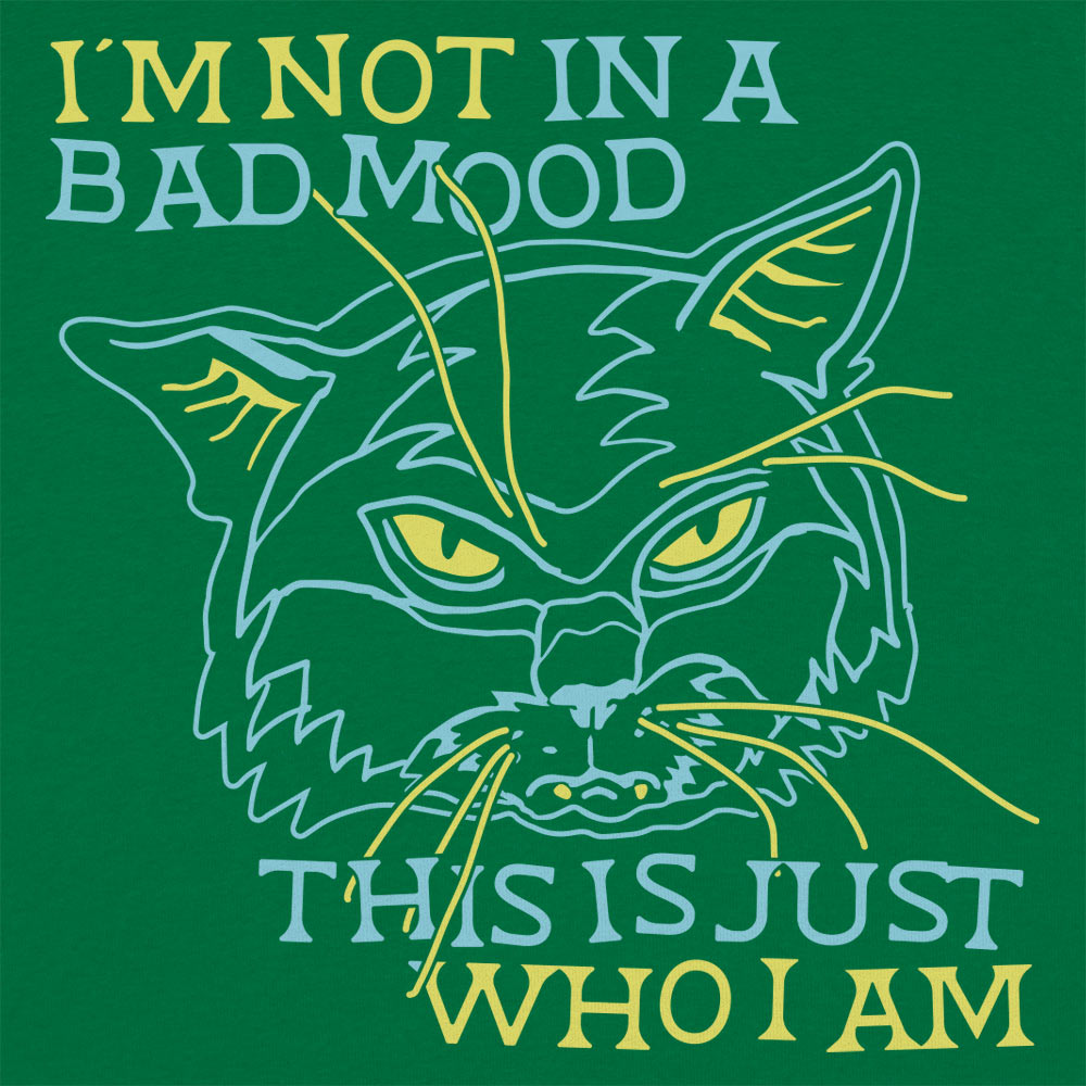 Bad Mood Cat
