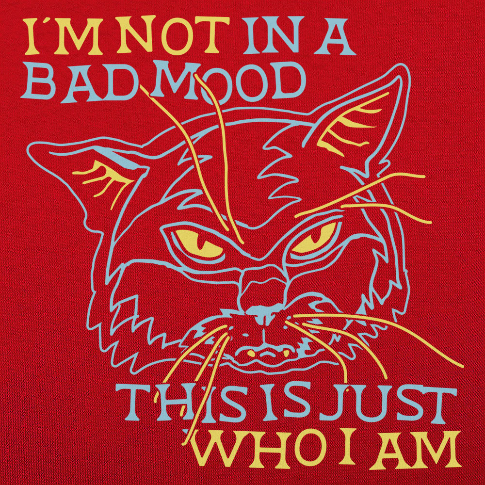 Bad Mood Cat