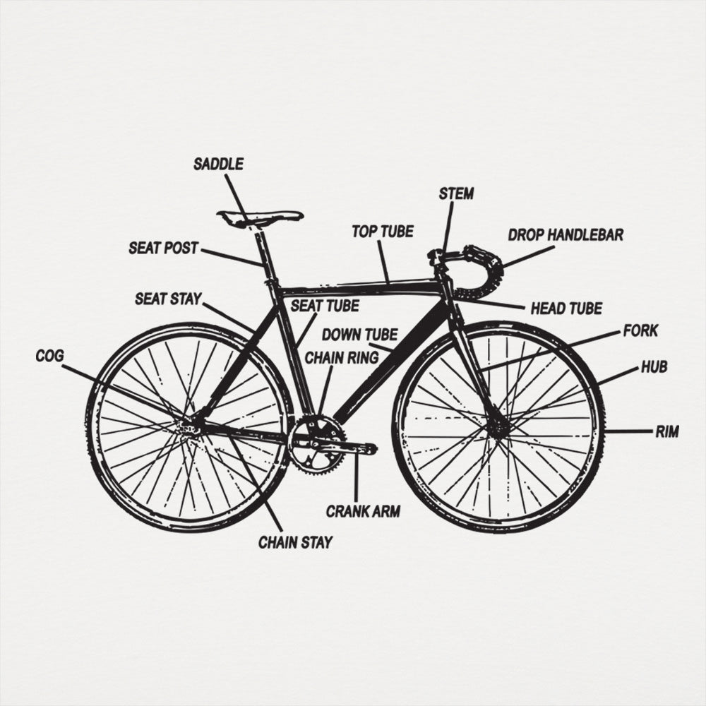 Bike Anatomy