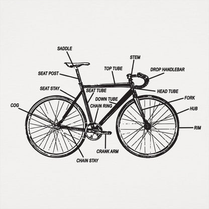 Bike Anatomy Diagram Fixed Gear Bicycle Parts Chart
