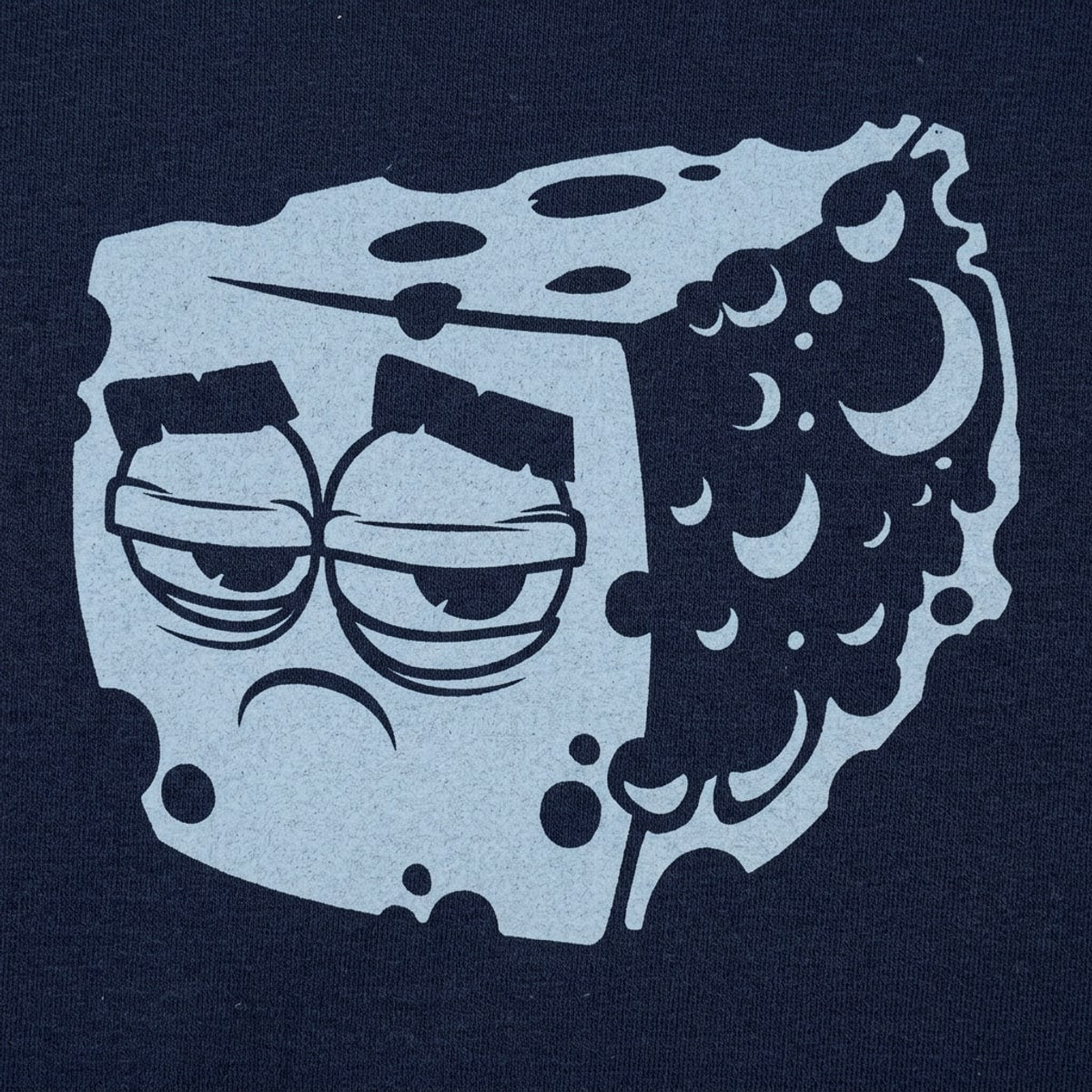 Blue Cheese Sad Wedge of Cheese with Mold Face detail