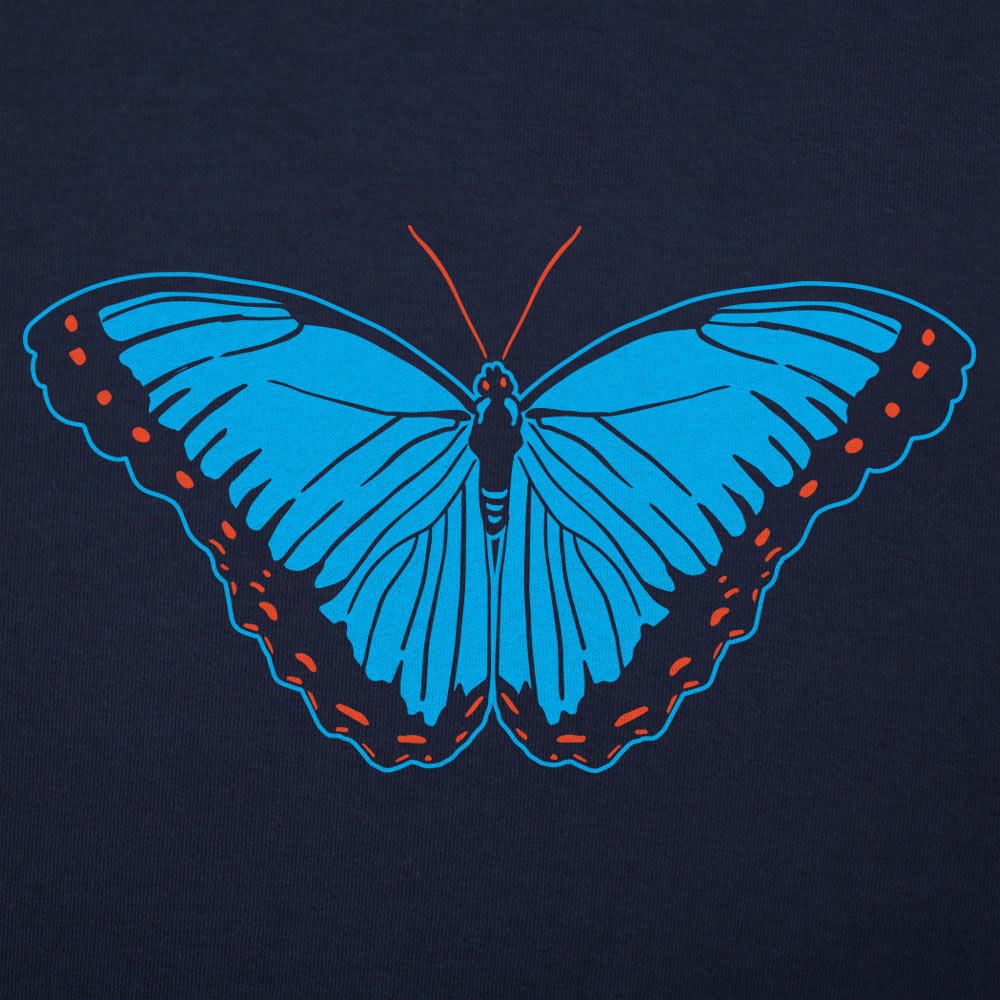 Blue Morpho Butterfly