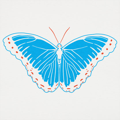 Blue Morpho Butterfly