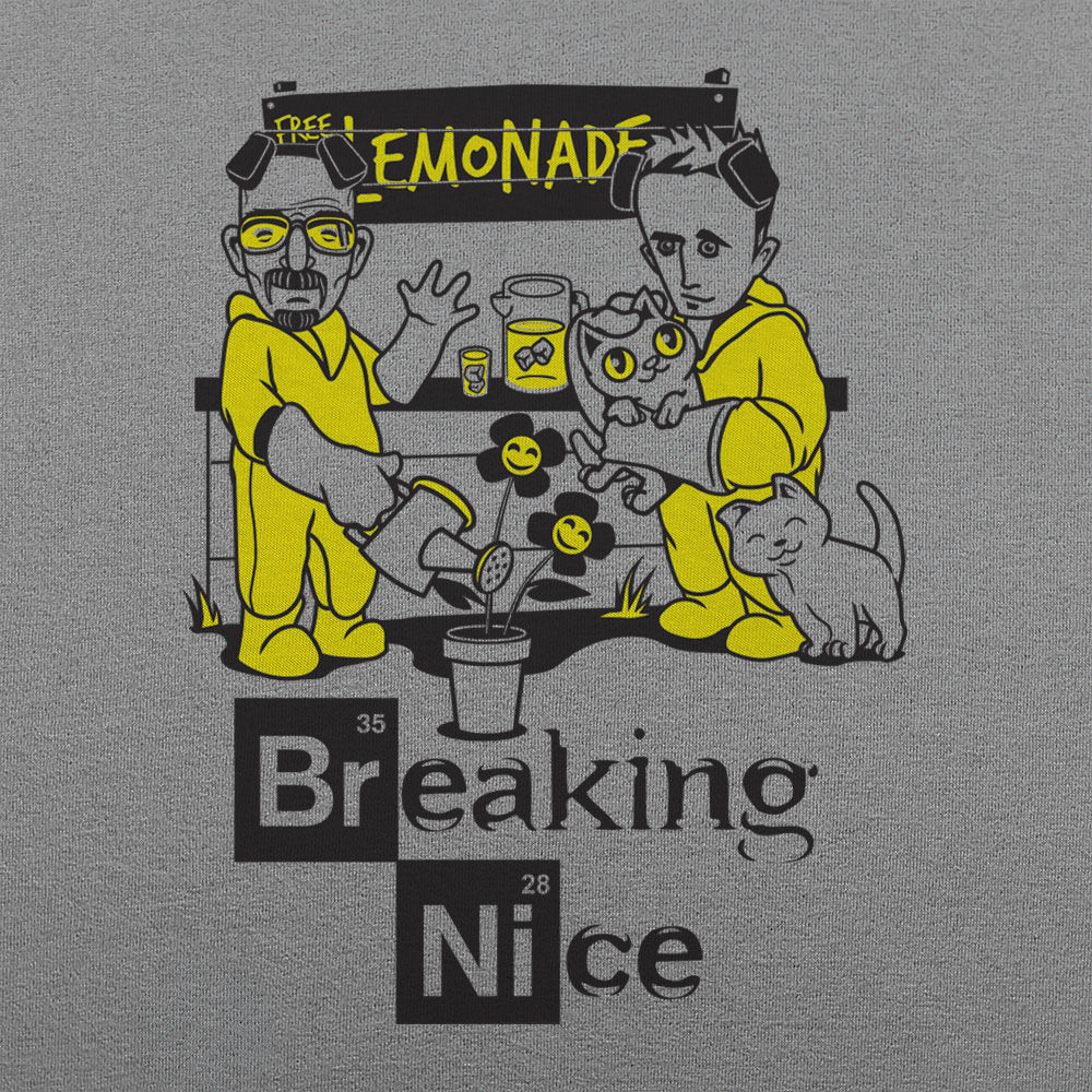 Breaking Nice