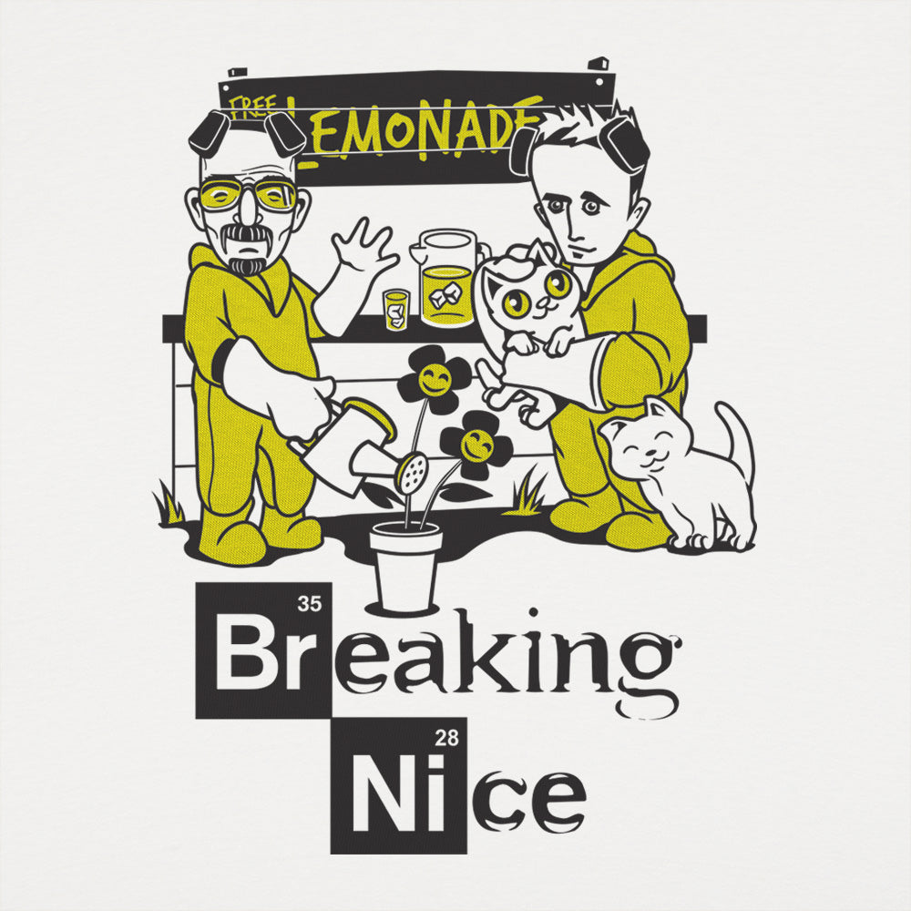 Breaking Nice