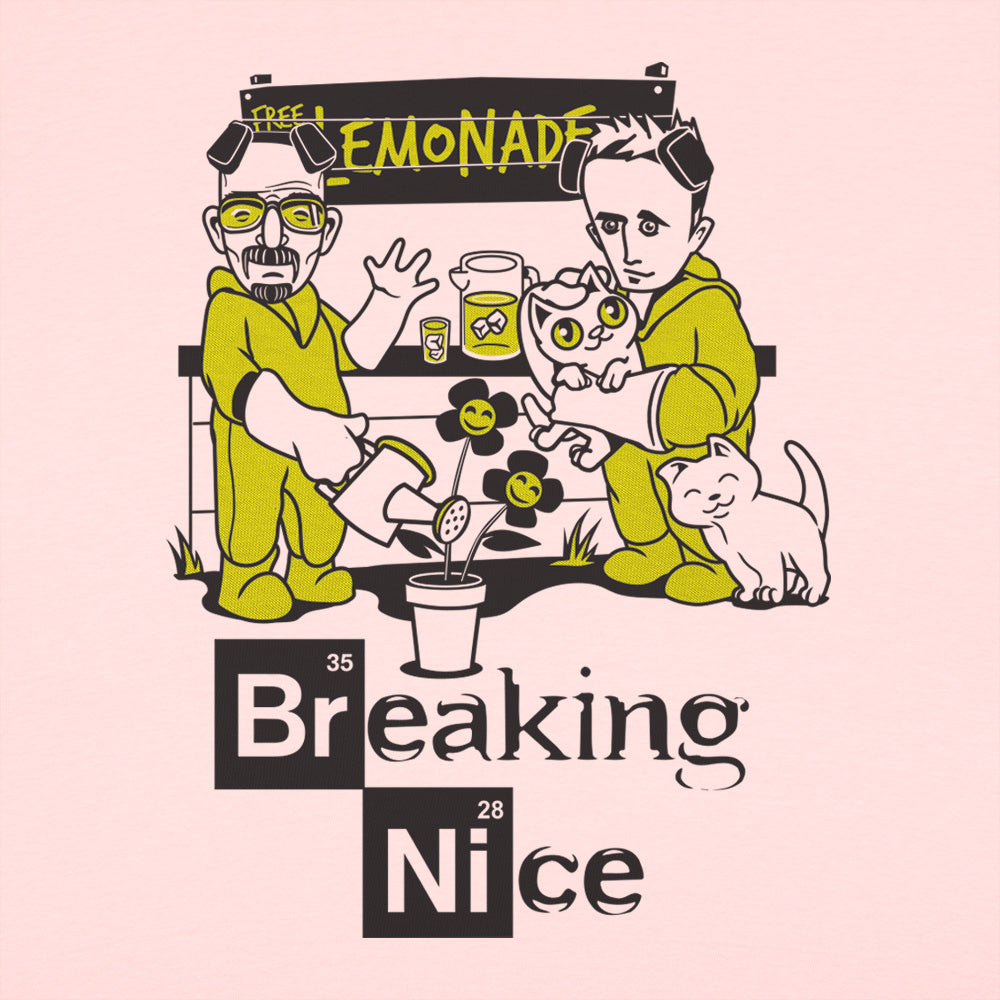 Breaking Nice
