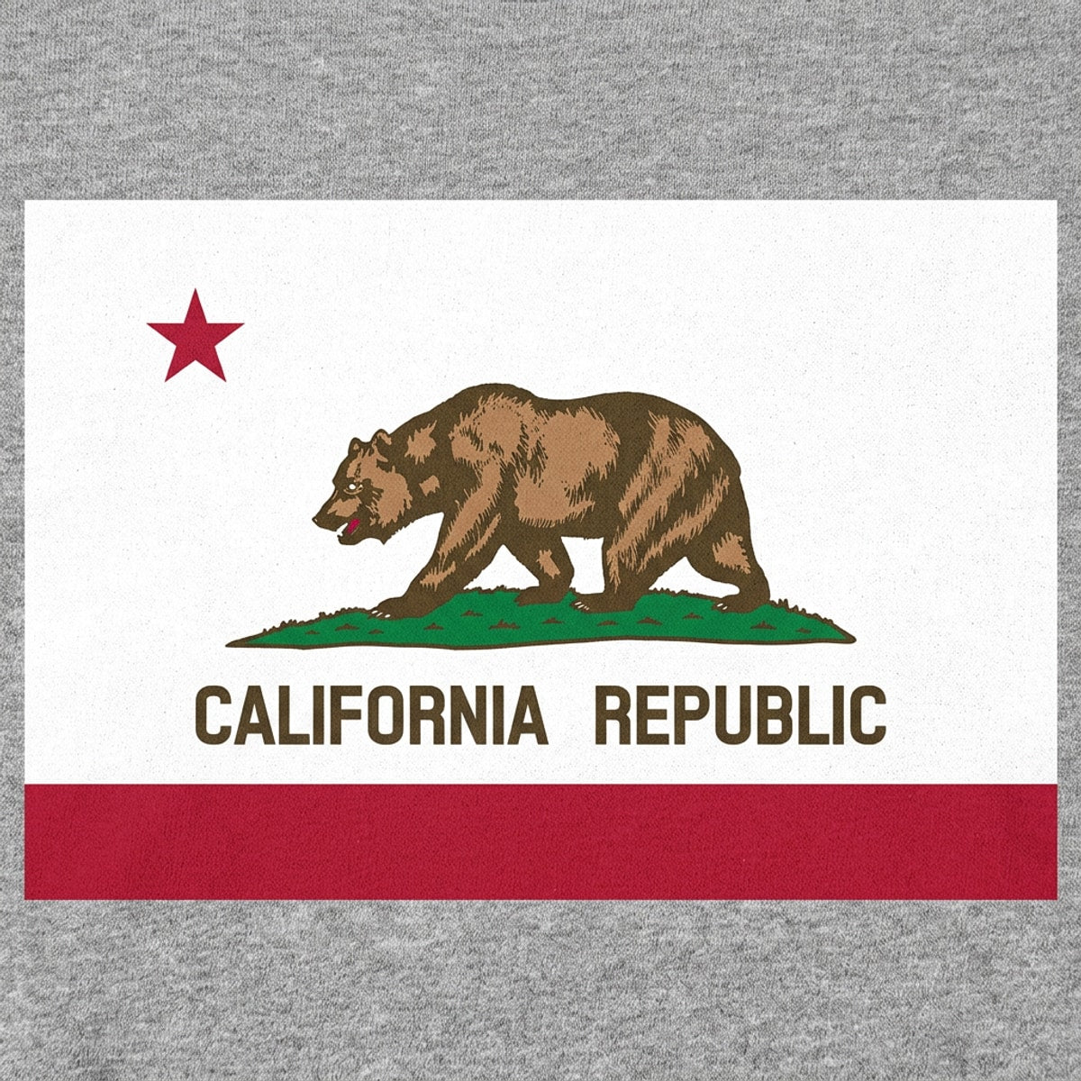 California Republic Flag with Bear and Star detail