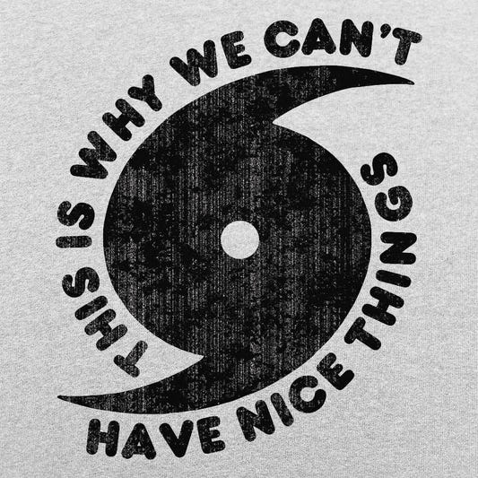 This Is Why We Can't Have Nice Things Hurricane Graphic tee design