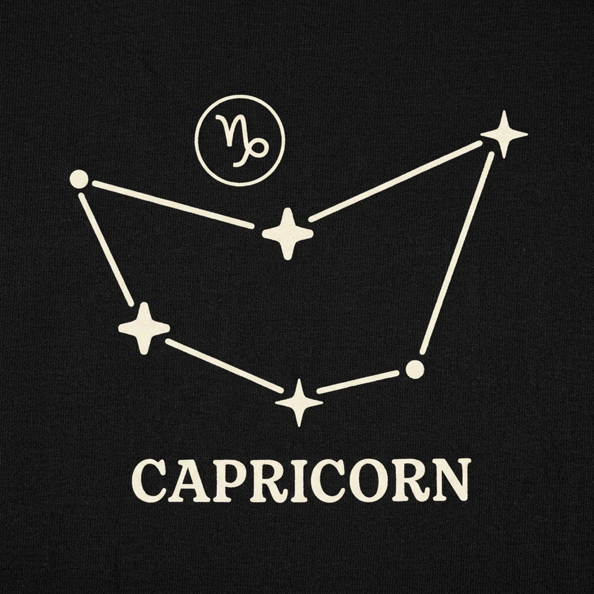 Capricorn Constellation Zodiac Star Sign detail