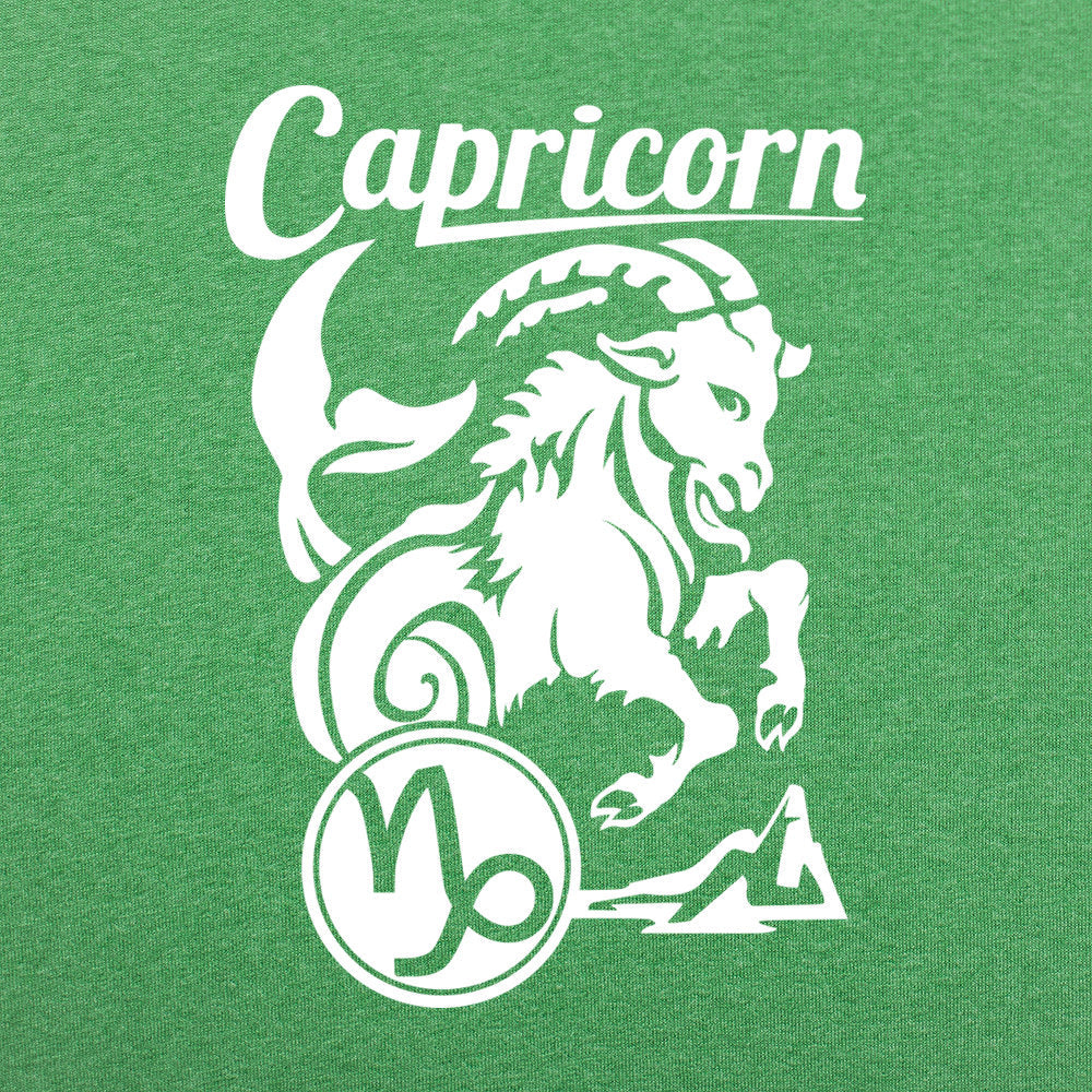 Capricorn Zodiac