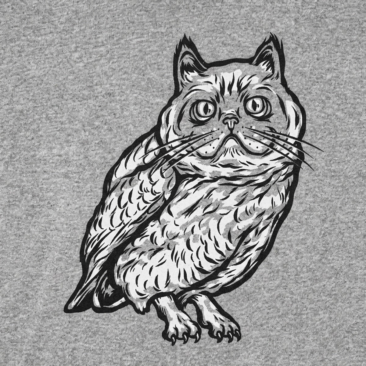 Cat Owl Hybrid Creature with Cat Head and Owl Body detail