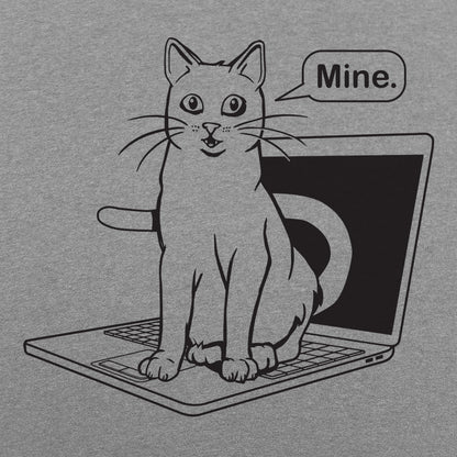Cat Conquers Laptop