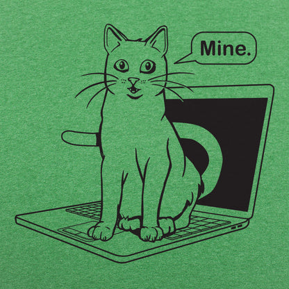 Cat Conquers Laptop