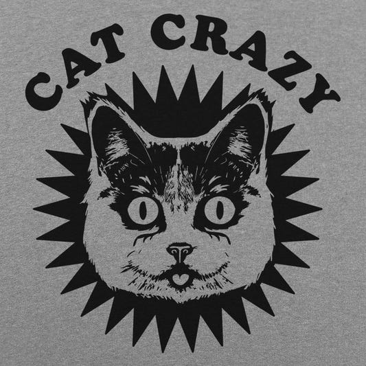 Cat Crazy Wide Eyed Cat Face graphic Unisex Heavyweight T-Shirt in Gray Heather