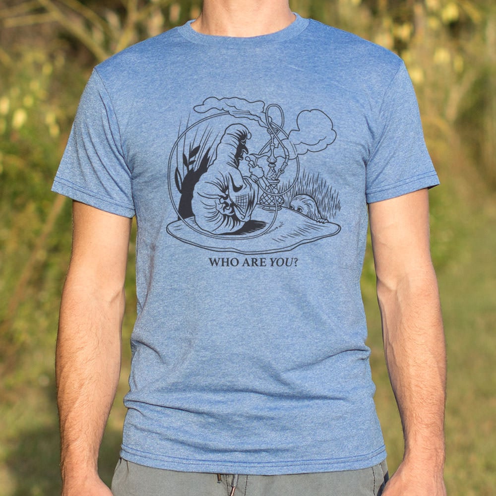 Caterpillar And Alice