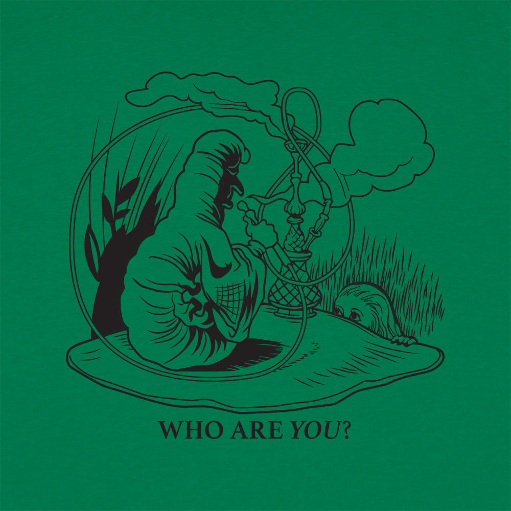 Caterpillar And Alice