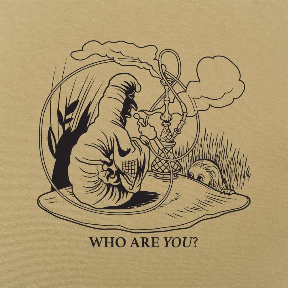 Caterpillar And Alice