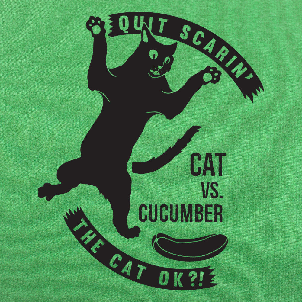 Cat Versus Cucumber
