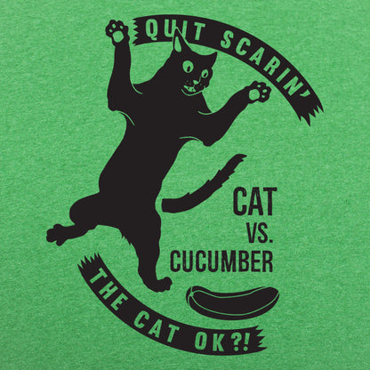 Cat Versus Cucumber, Startled Cat Meme