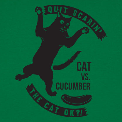 Cat Versus Cucumber, Startled Cat Meme