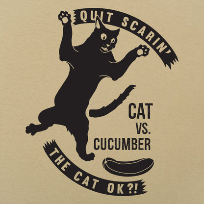 Cat Versus Cucumber, Startled Cat Meme