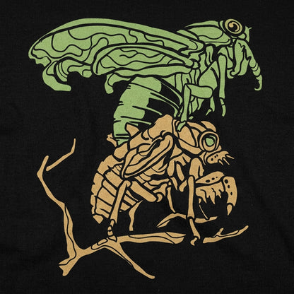 Cicada Molting Graphic detail