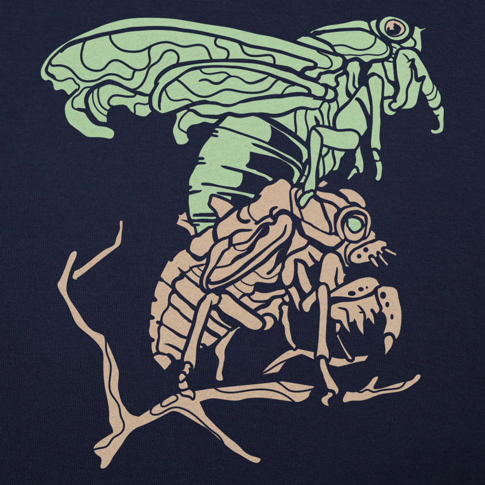 Cicada
