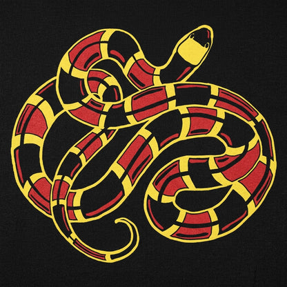 Coral Snake Graphic detail