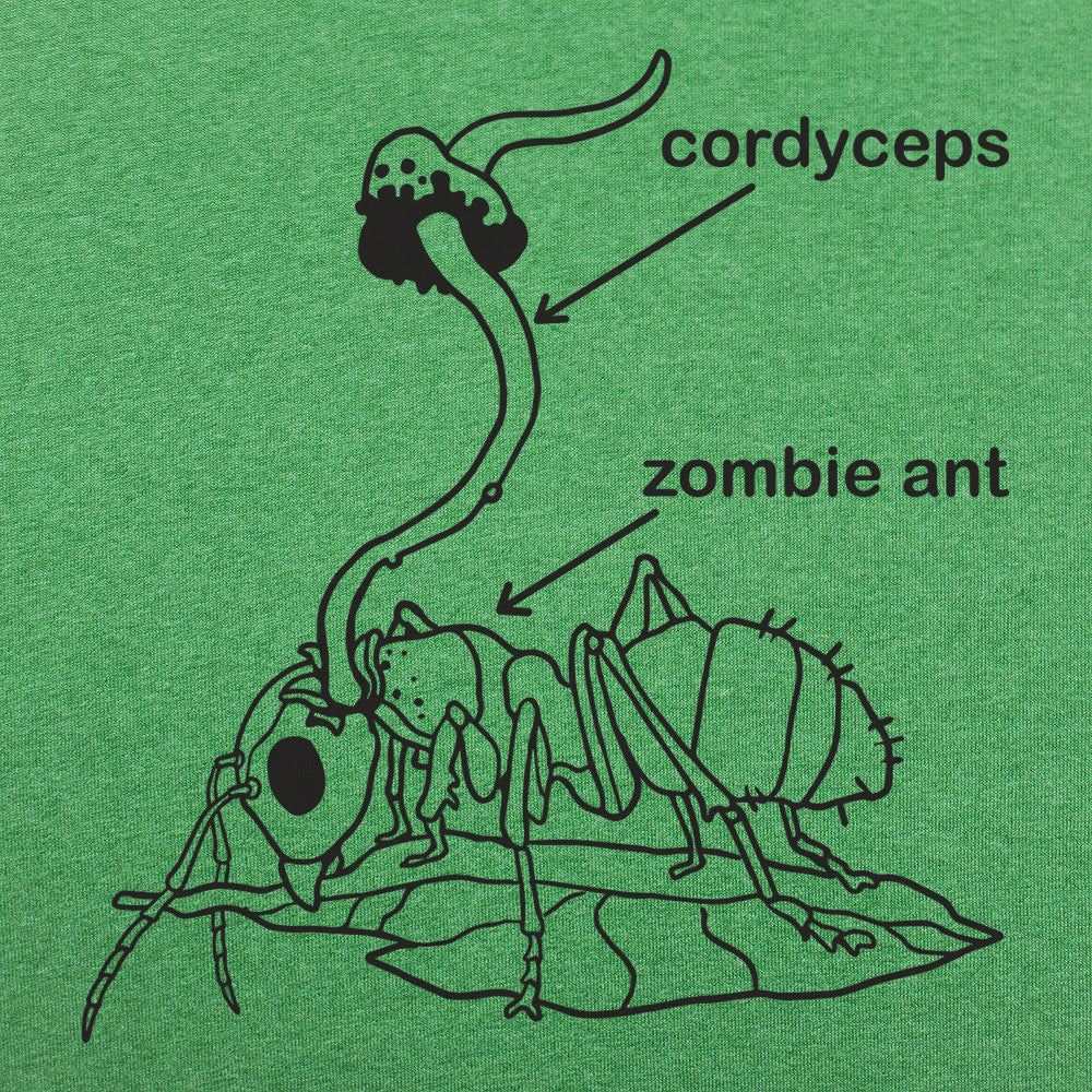 Cordyceps Ant